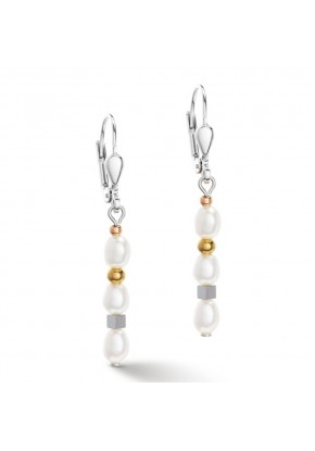 Boucles d'oreilles Cœur de...