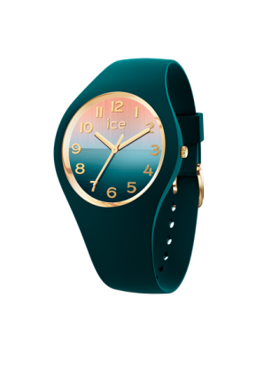 Montre ICE horizon -...
