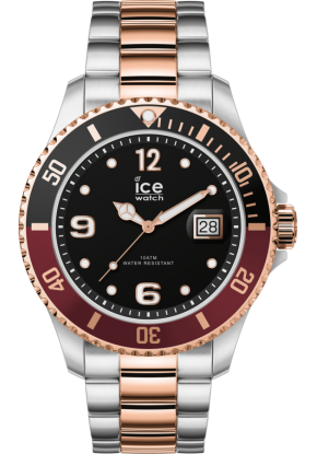 Montre Ice watch 016548