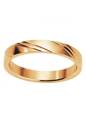 Bague Homme en Acier Phébus...