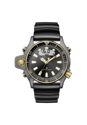 Montre Homme Citizen...
