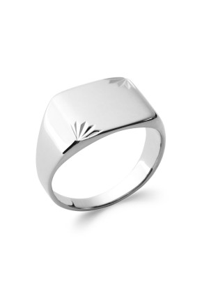 Bague Homme sélection...