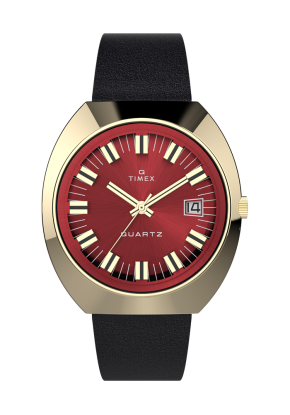 Montre Homme Timex modèle...