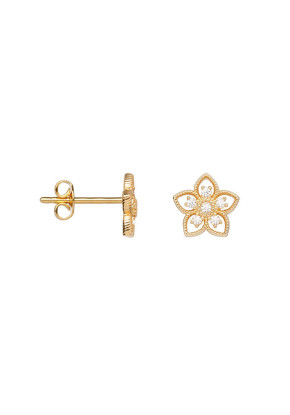 Boucles d'oreilles Femme en...
