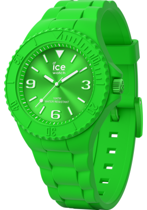 Montre Ice watch 019160